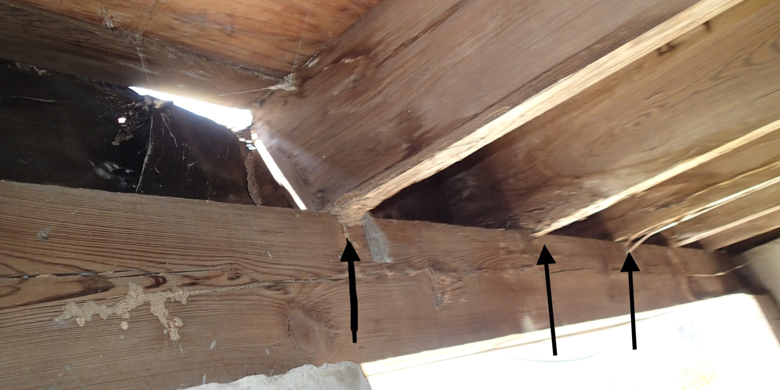 New Orleans joist damage